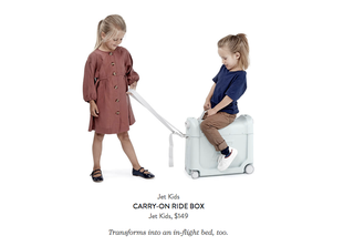 Illustration for article titled The Most Overrated Items in Goop's Holiday Gift Guide